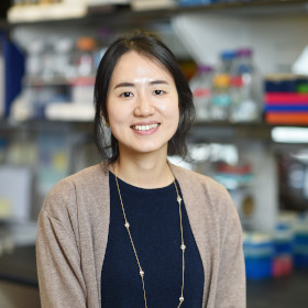 Minah Kim, PhD